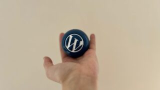 WordPress Blue Ball Wallpaper Collection: Ball in Palm (1)